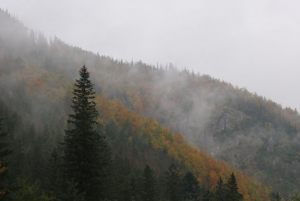 Fotoaktywni 52
